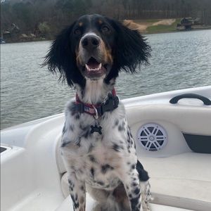 Meet your Posher, Brady